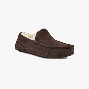 Ugg Ascot Men Slippers Brown (5317XBFRJ)